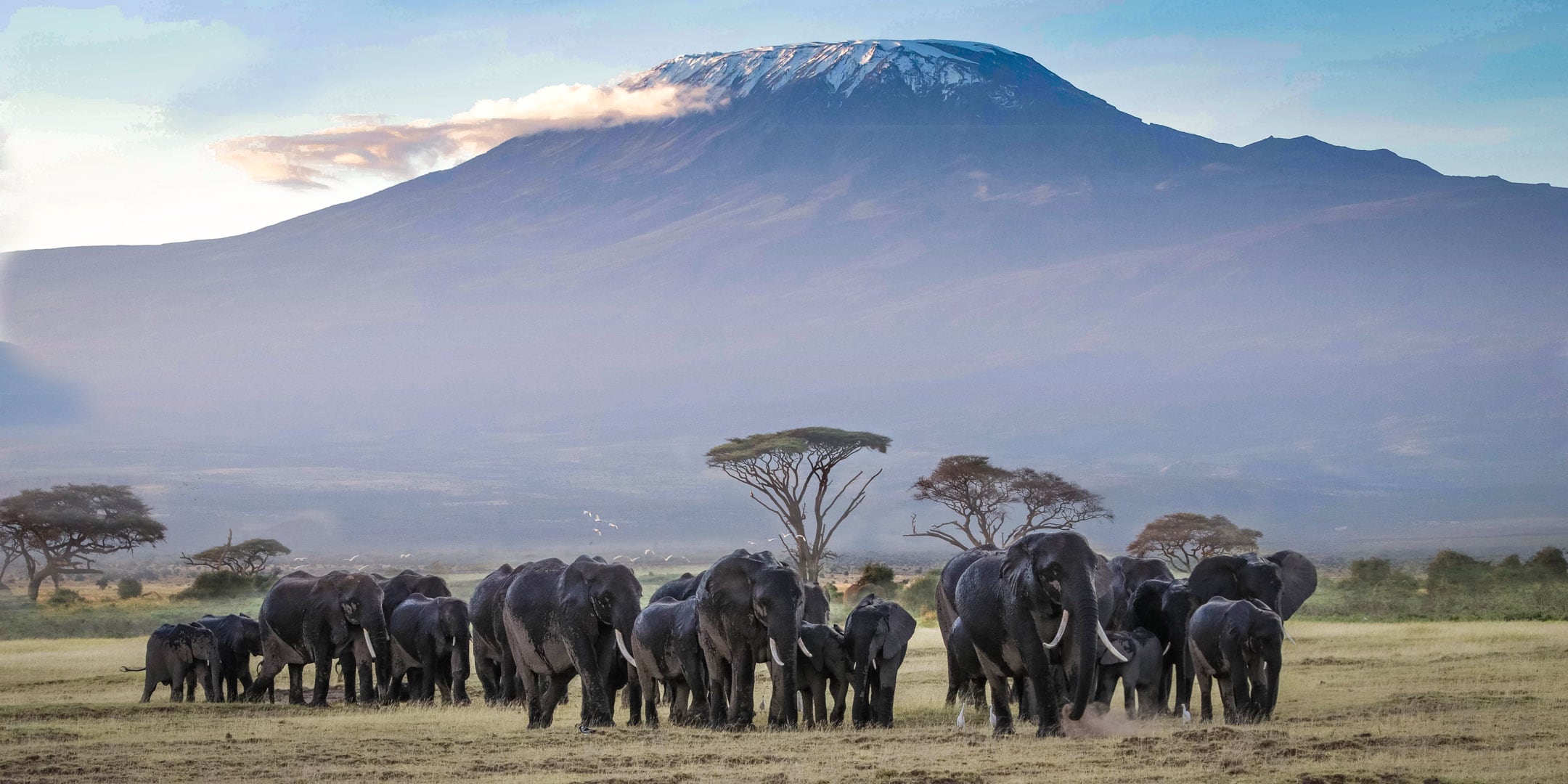 Top 20 Biggest Landmarks in Africa
