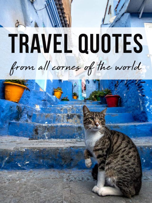 Daily Travel Quotes Inspiration