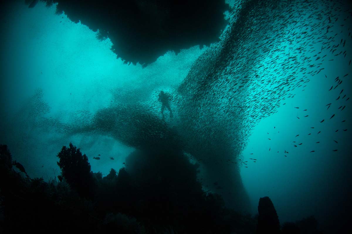 what-is-indonesia-famous-for-diver-surrounded-by-thousands-fish