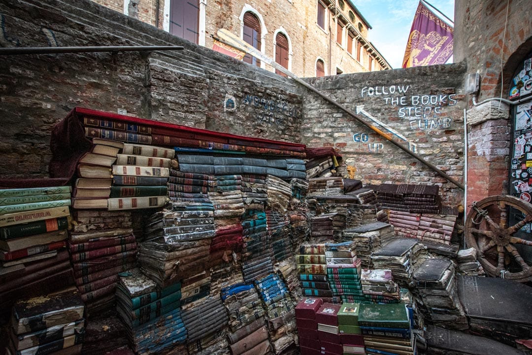 aqua-alta-library-back-yard