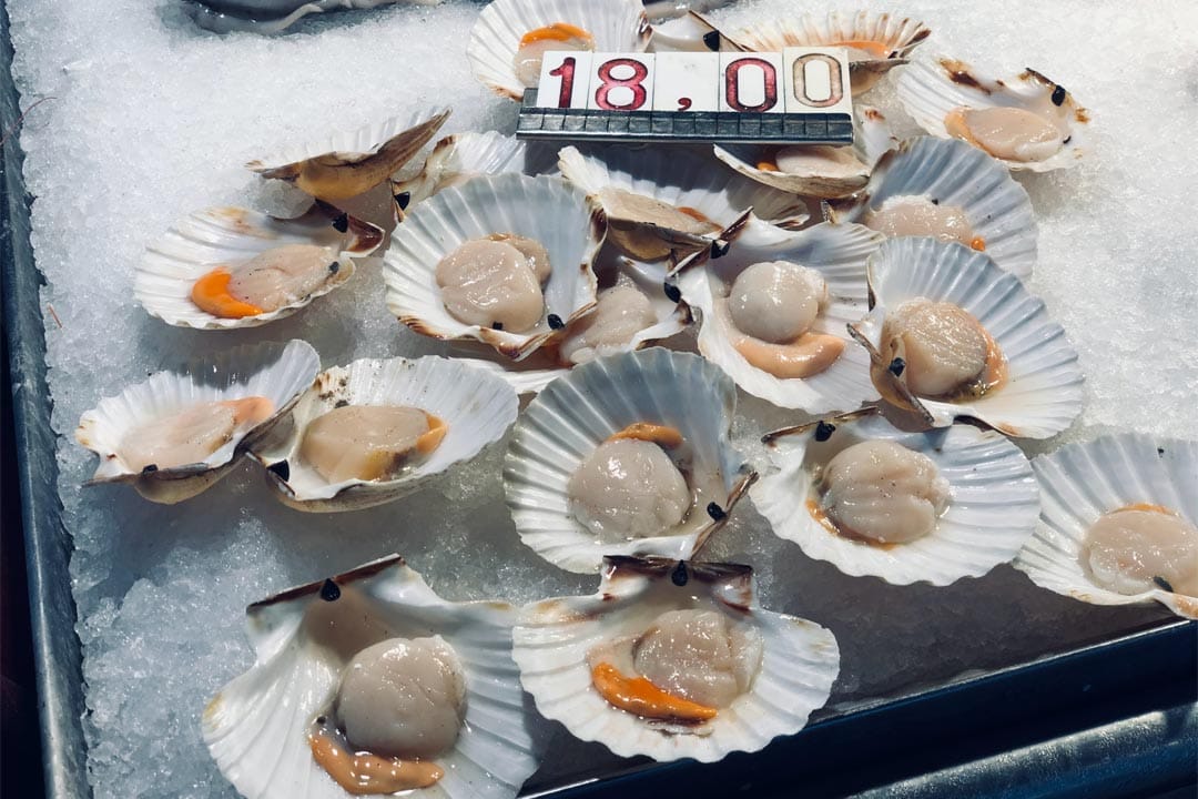 expensive-scallops-in-rialto-market