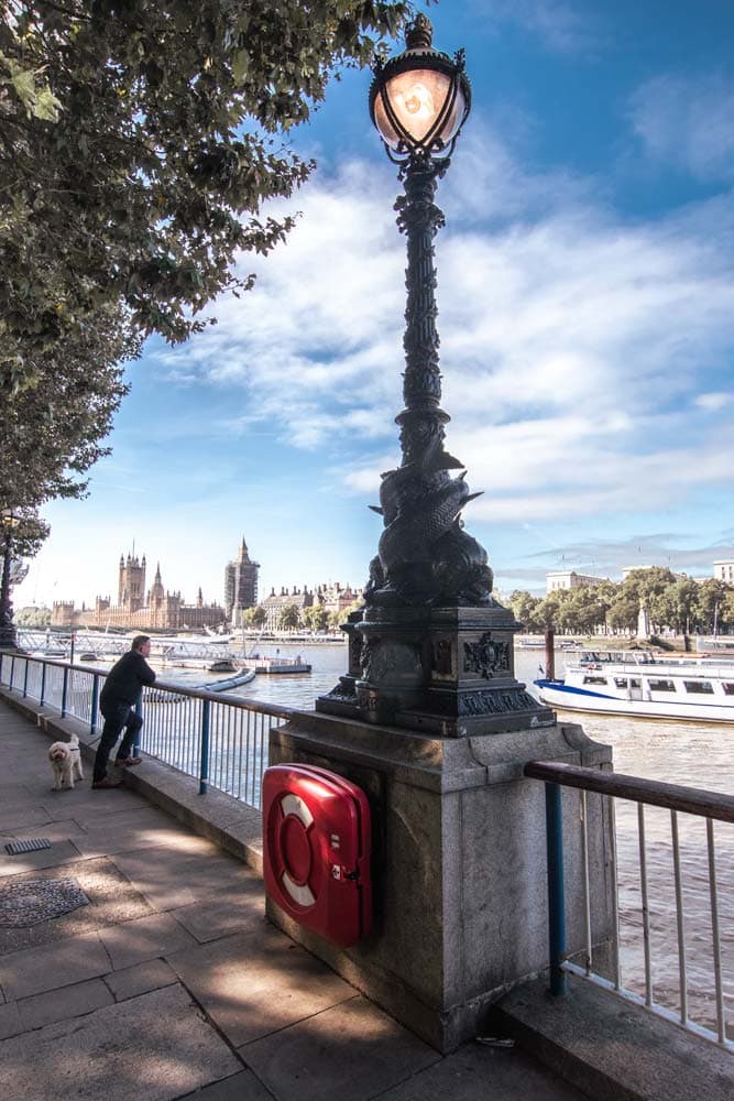 2-day-london-itinerary-guy-watching-Thames-with-a-dog