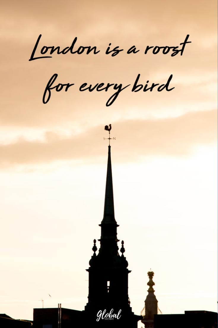 roost-for-every-bird-quote