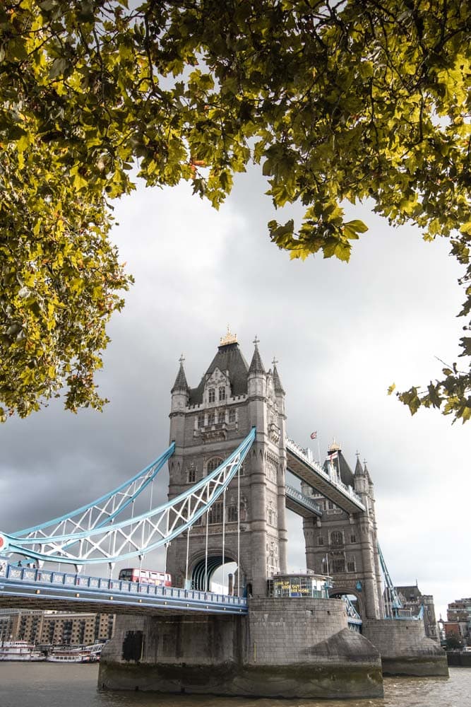 tower-bridge-from-under-a-tree