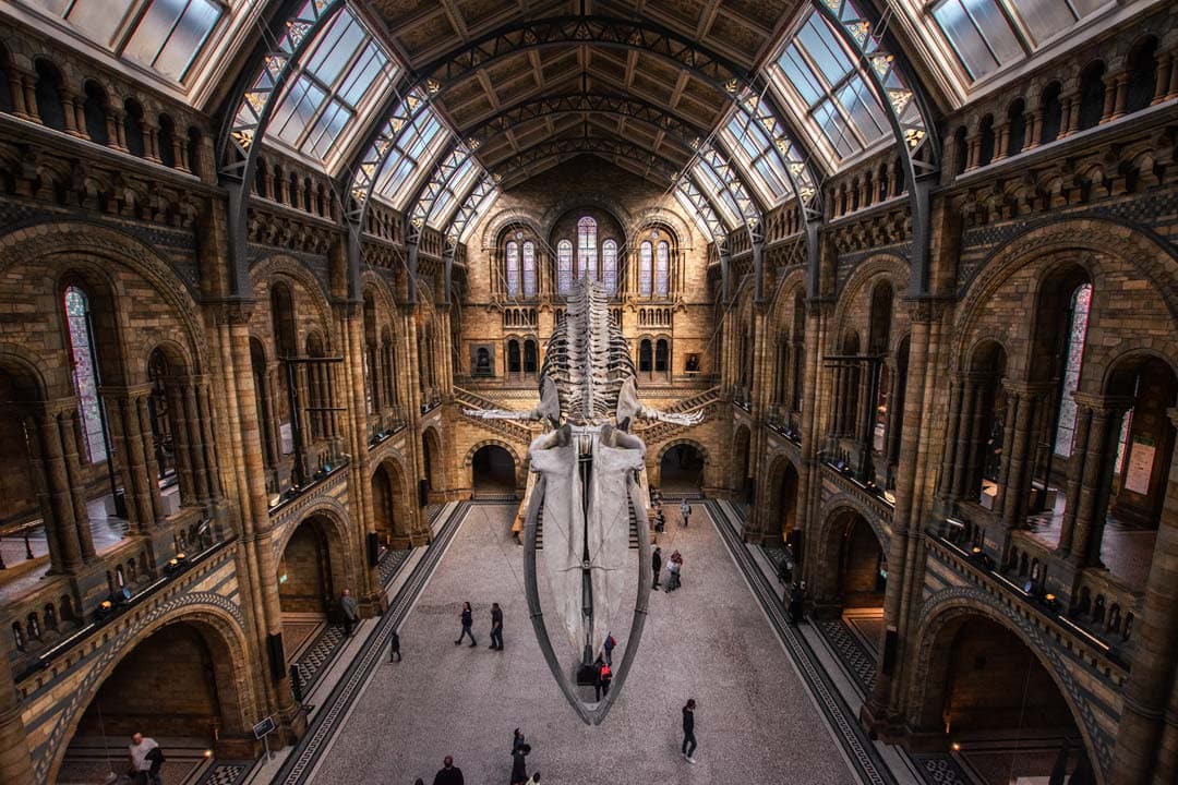 two-das-in-london-national-history-museum-from-the-top-floor