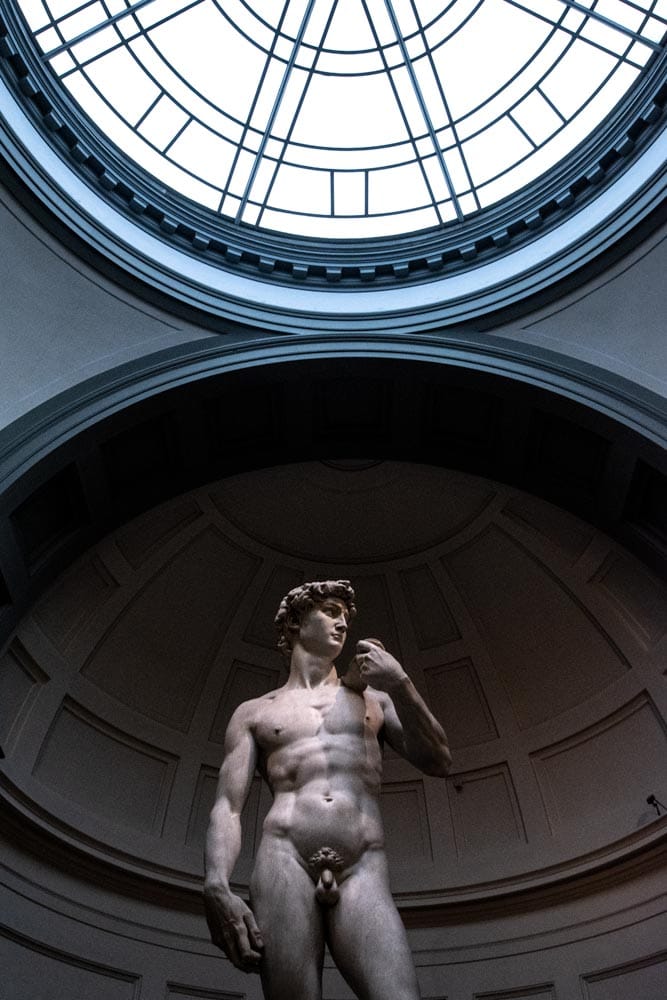 david statue in glaeria academica in florence