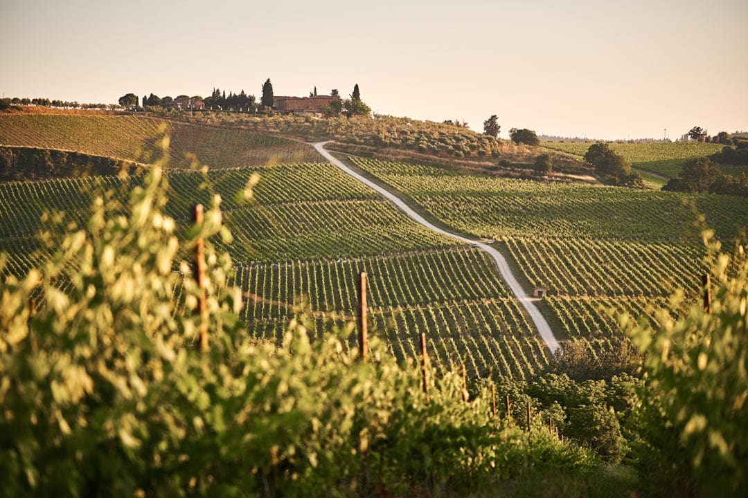 three-days-in-florence-chianti-hills-panorama