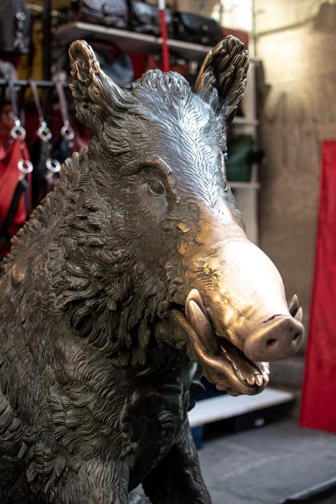 three-days-in-florence-close-up-of-boar-statue