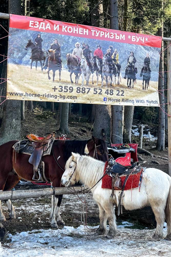 horse-riding-in-borovets