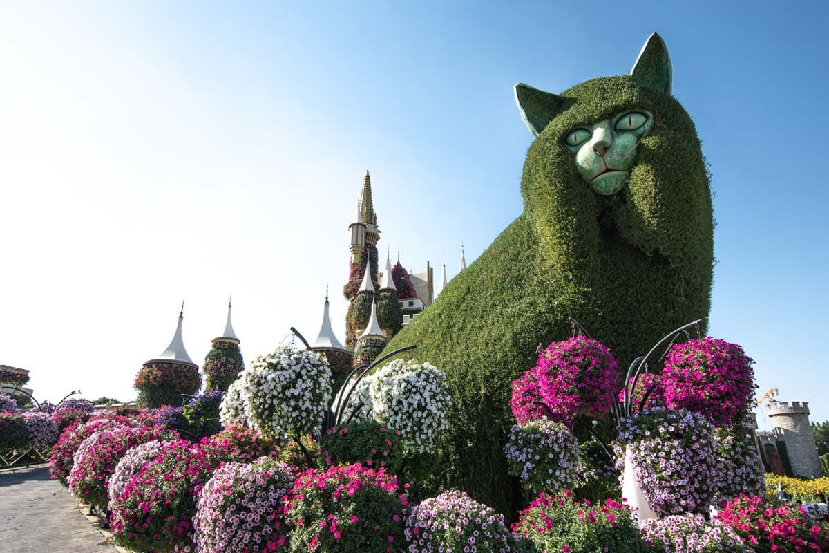 5-days-in-dubai-cat-made-of-flowers