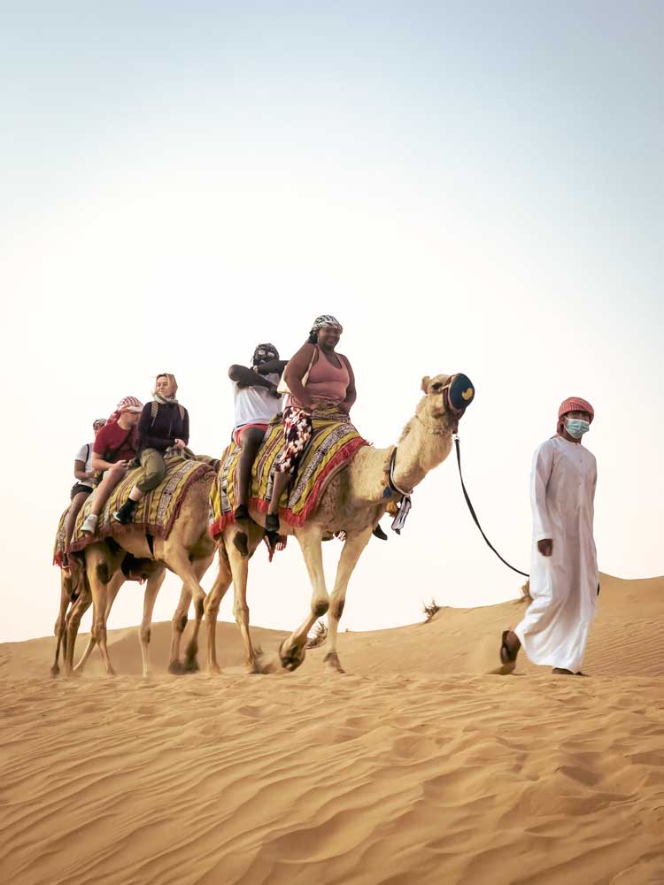 people-on-camels in the desert