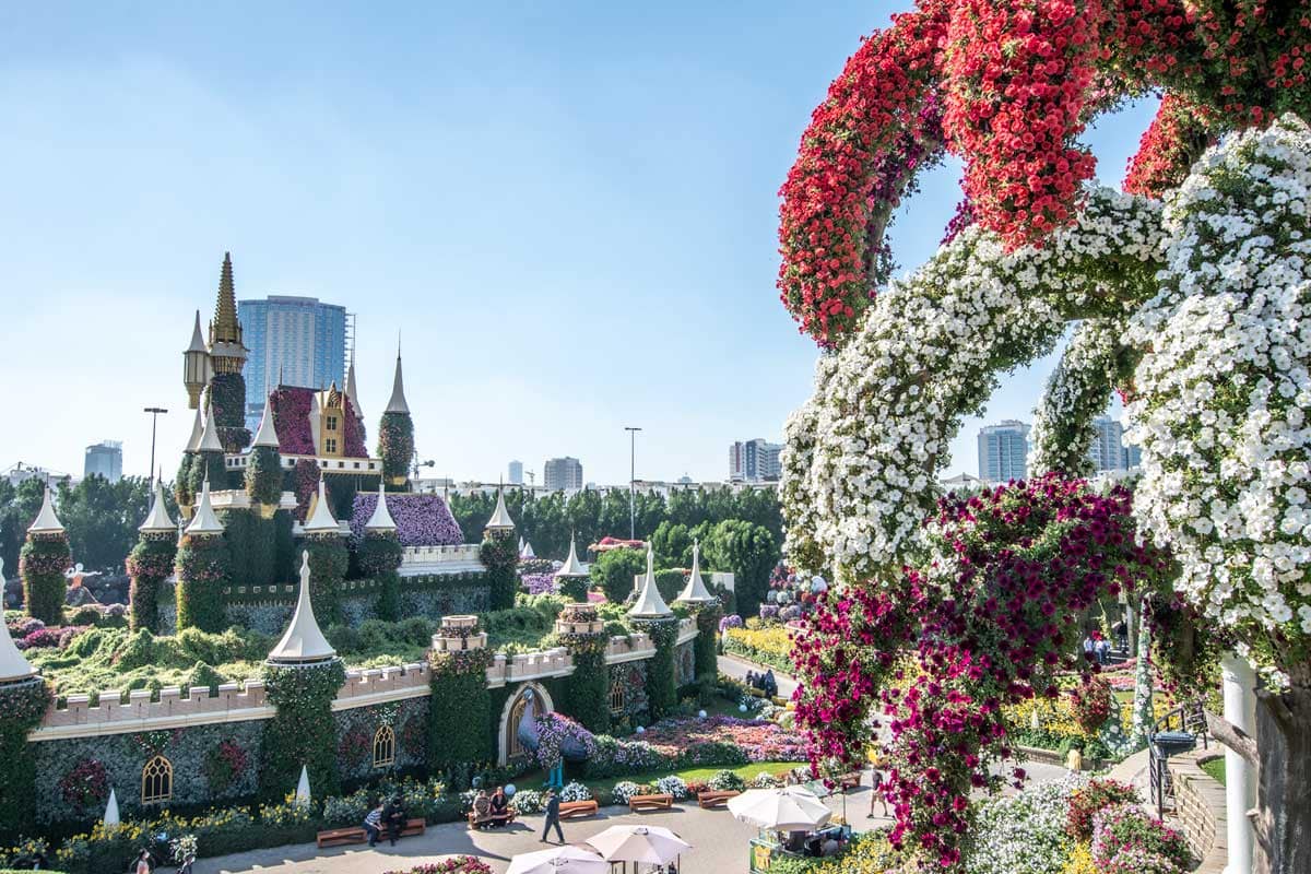 miracle-gardens-panorama-in-dubai