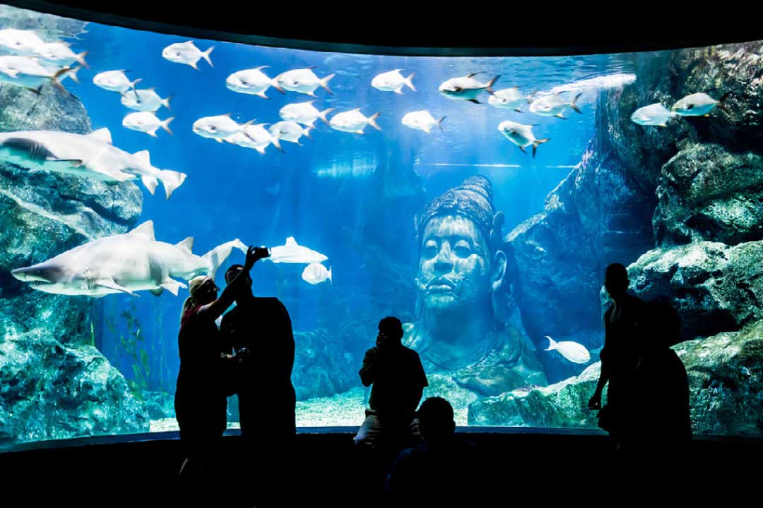 what-is-Dubai-known-for-people-in-front-of-a-aquarium