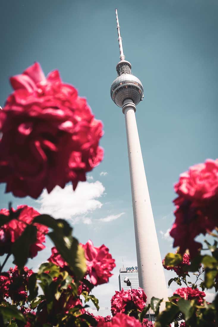 2-days-in-berlin-tv-tower-with-flowers-on-alexanderplatz