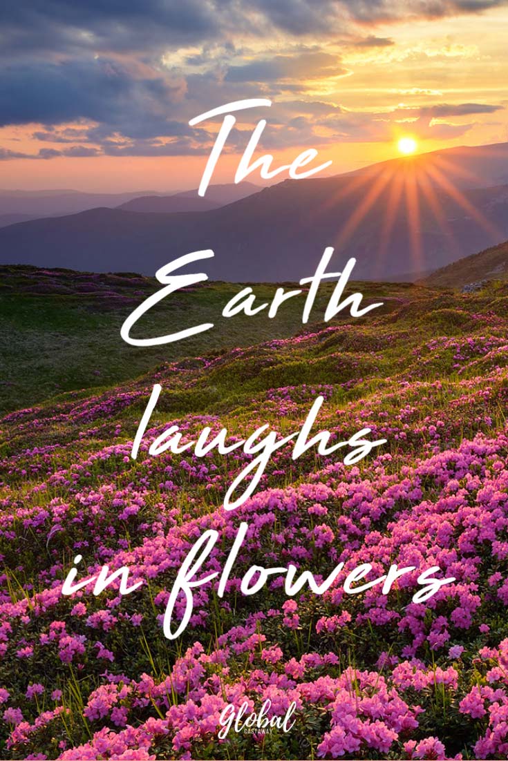 earth-laughs-quote