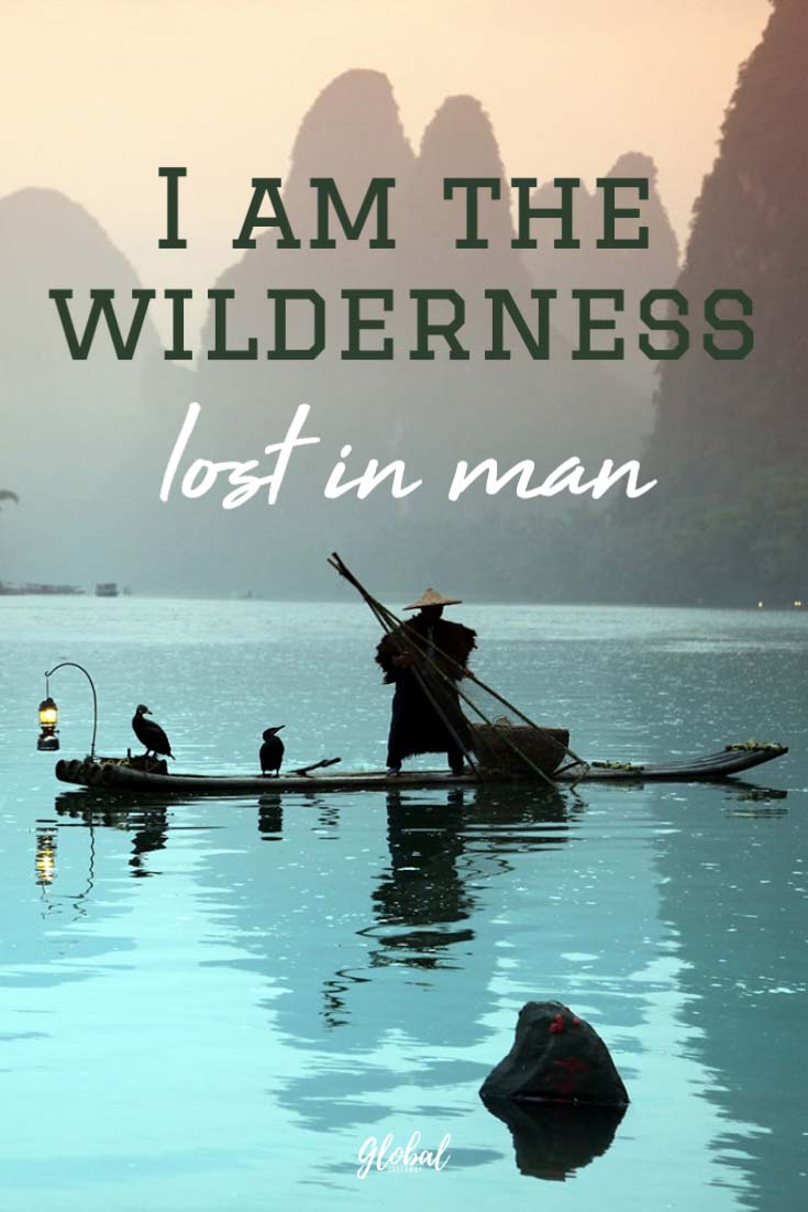 wild-quotes-i-am-the-wilderness