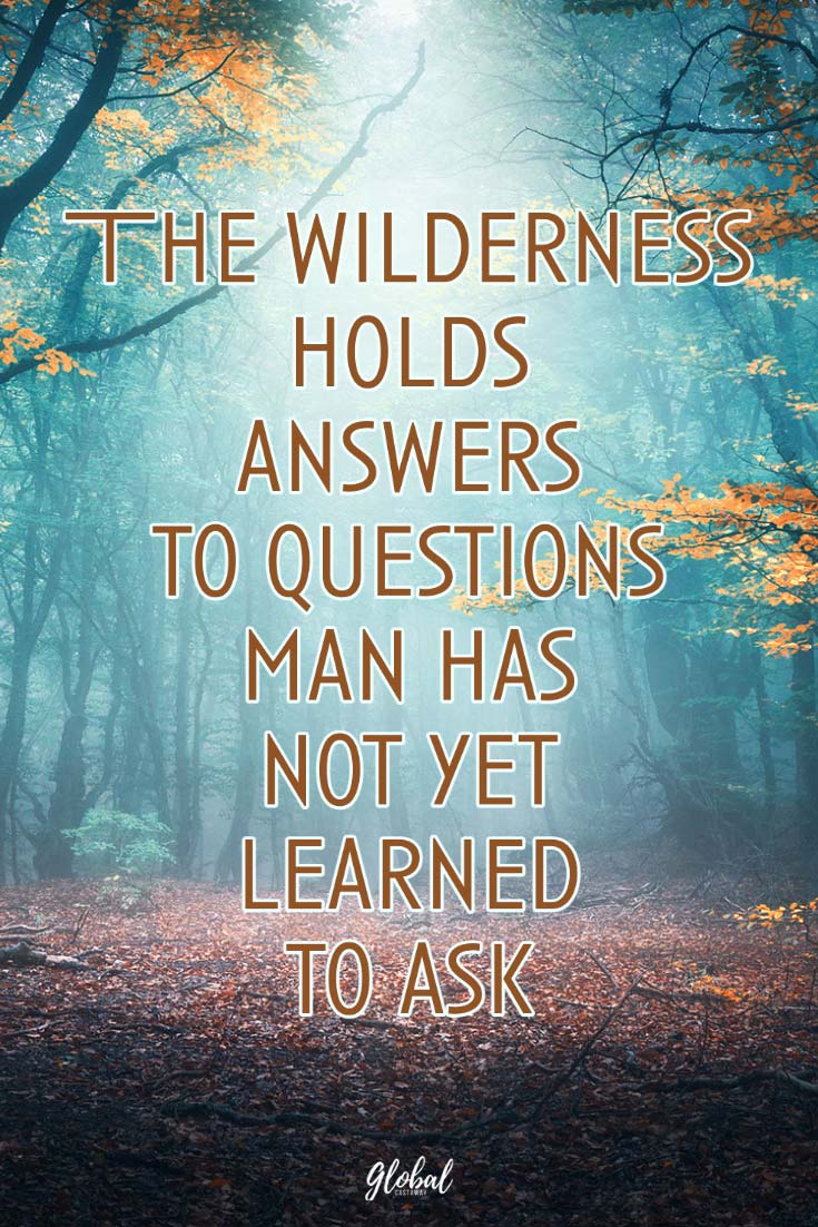 wilderness-holds-answers-quote