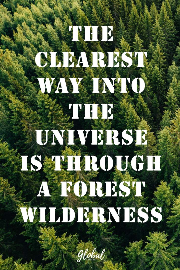 wilderness survival quotes