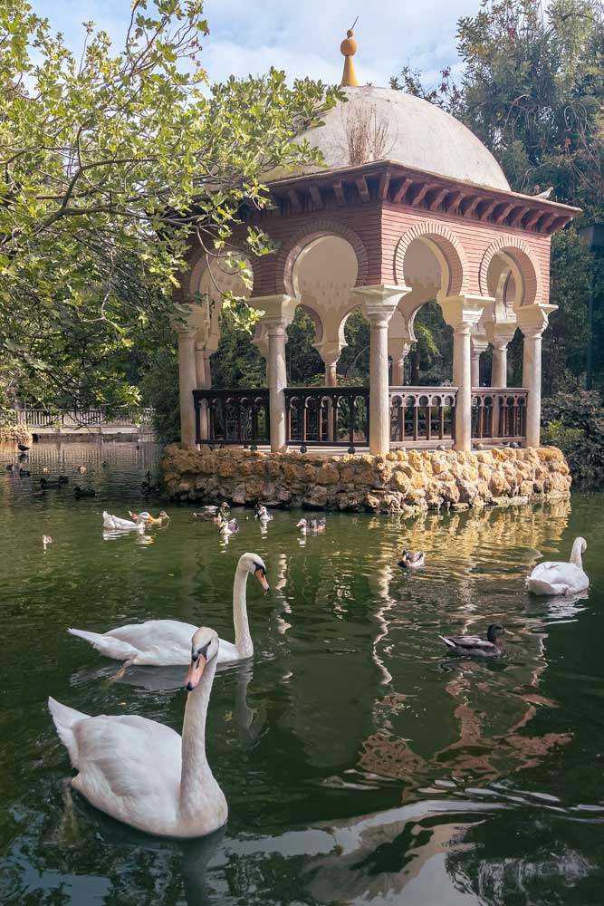 3-days-in-seville-swans-swimming-in-a-lake