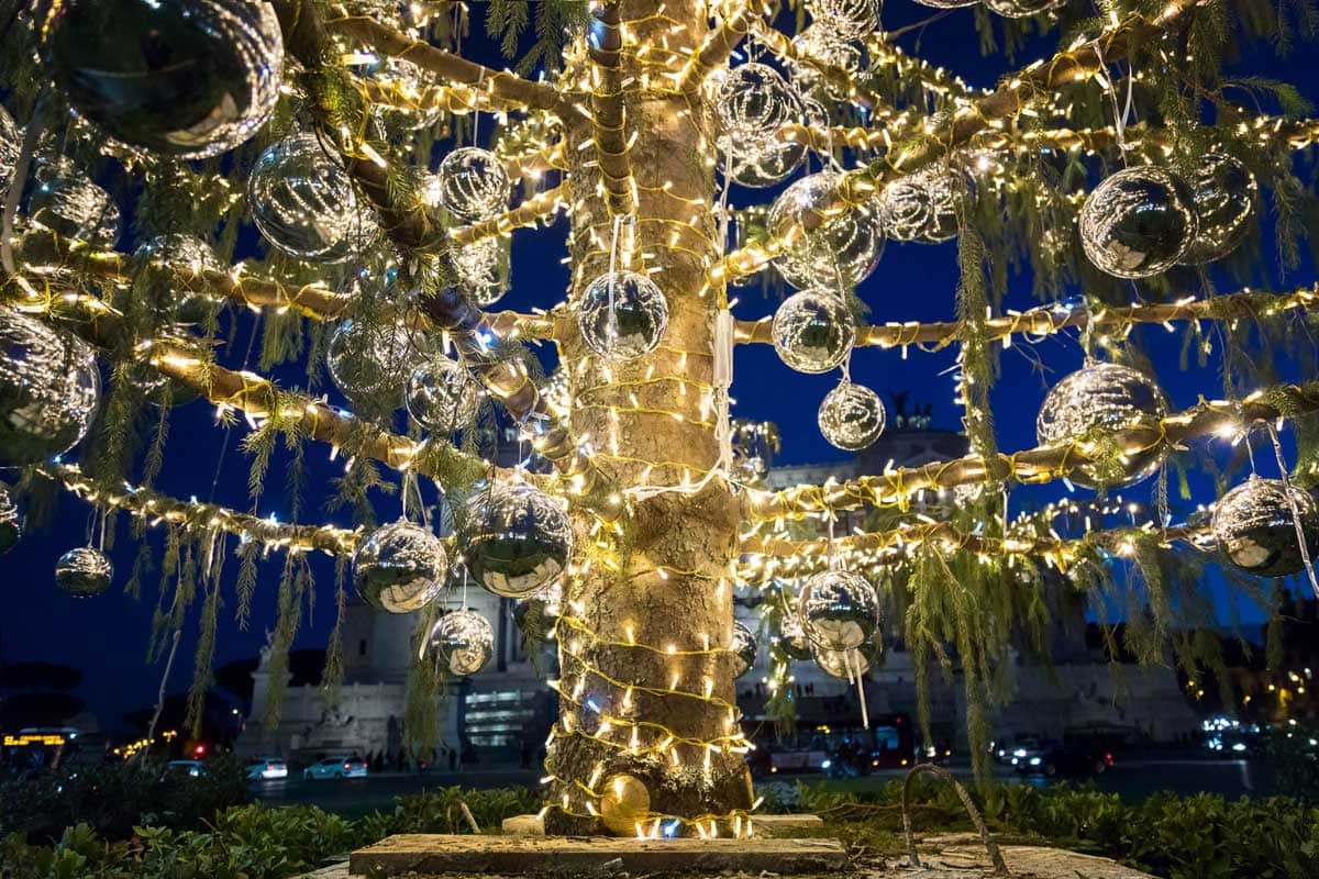 decorated-tree-in-rome