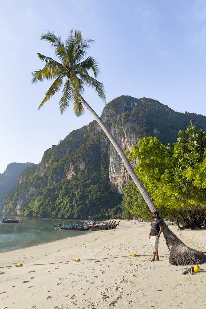 best-beaches-in-phi-phi-man-under-a-palm