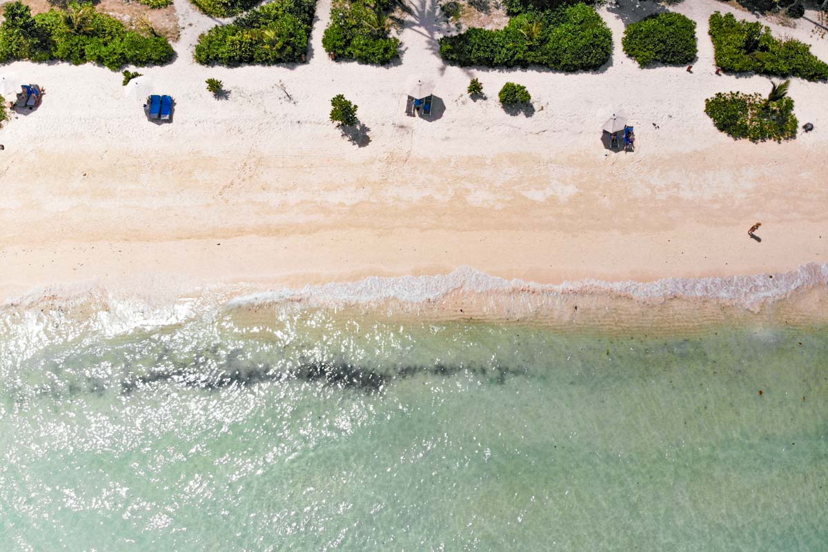 best-phi-phi-beaches-waves-on-a-beach-from-a-drone