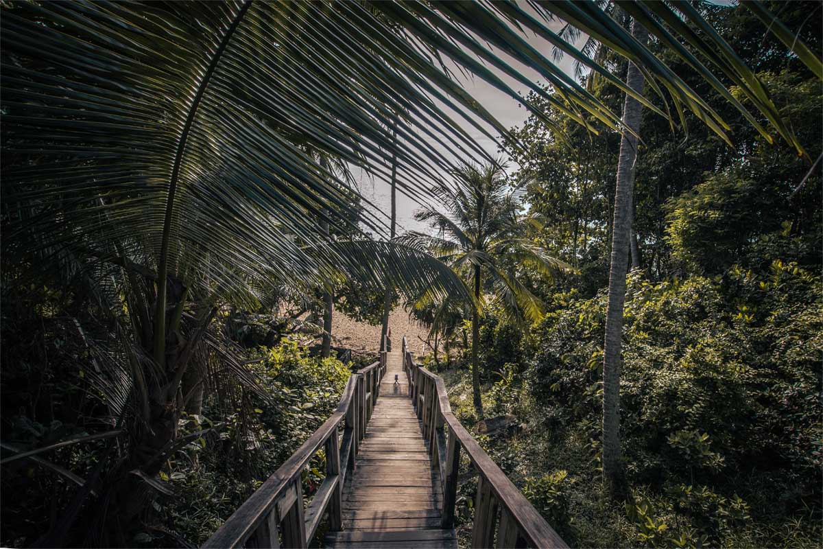 best-phuket-beaches-jungle-bridge