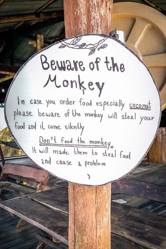 beware-of-the-monkey-sign