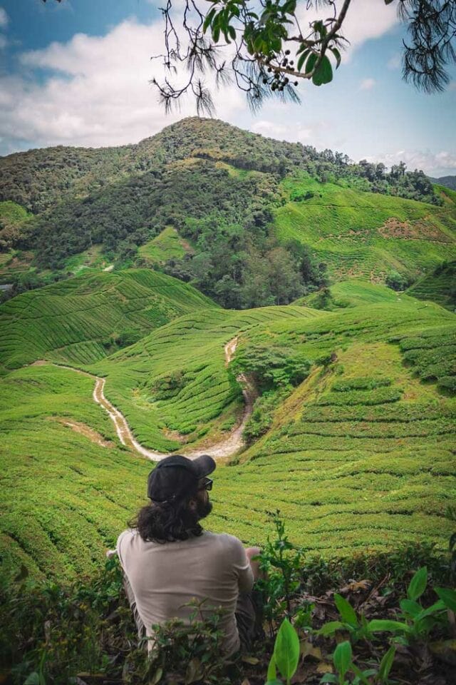 The Ultimate Cameron Highlands Itinerary 2024   Cameron Highlands Itinerary Man Watching Lush Hills 640x960 