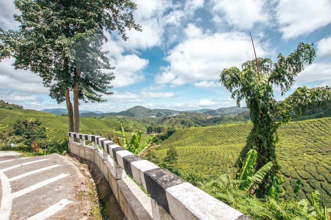 The Ultimate Cameron Highlands Itinerary 2024   Cameron Highlands Itinerary Road With Tea Plantation 1080x720 