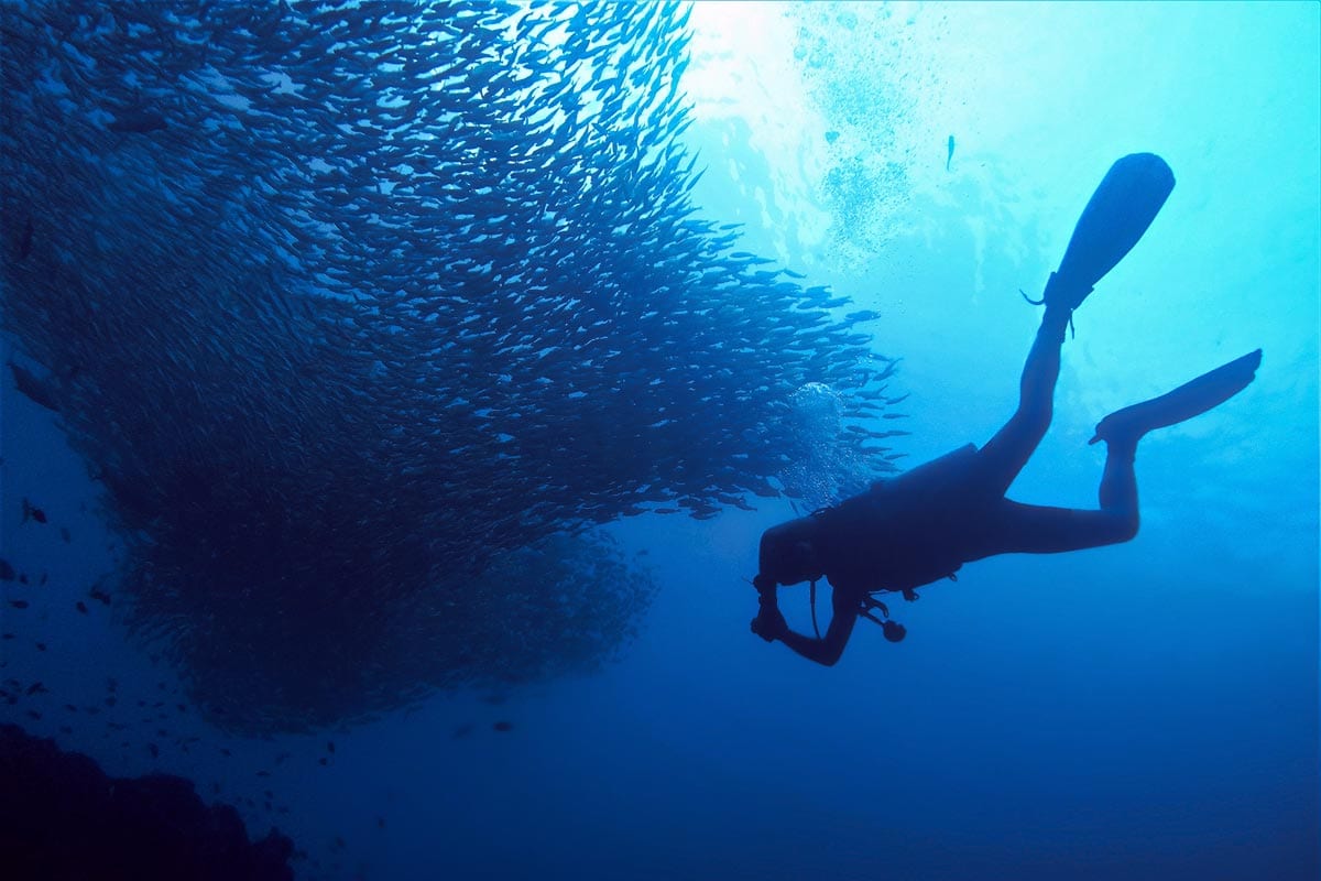 phi-phi-itinerary-diver-with-a-flock-of-fish