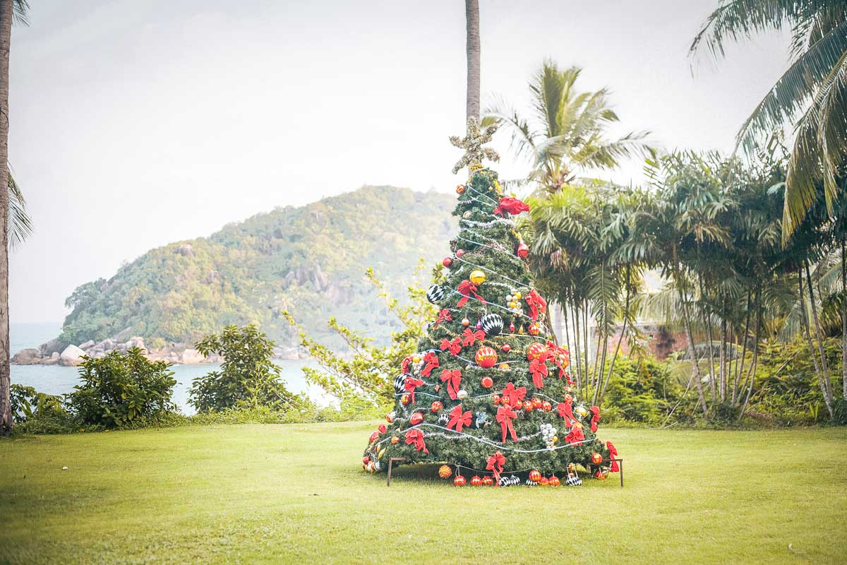 thailand-in-december-chrismass-tree