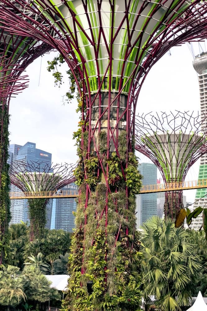 5-days-in-singapore-itinerary-mechanical-trees
