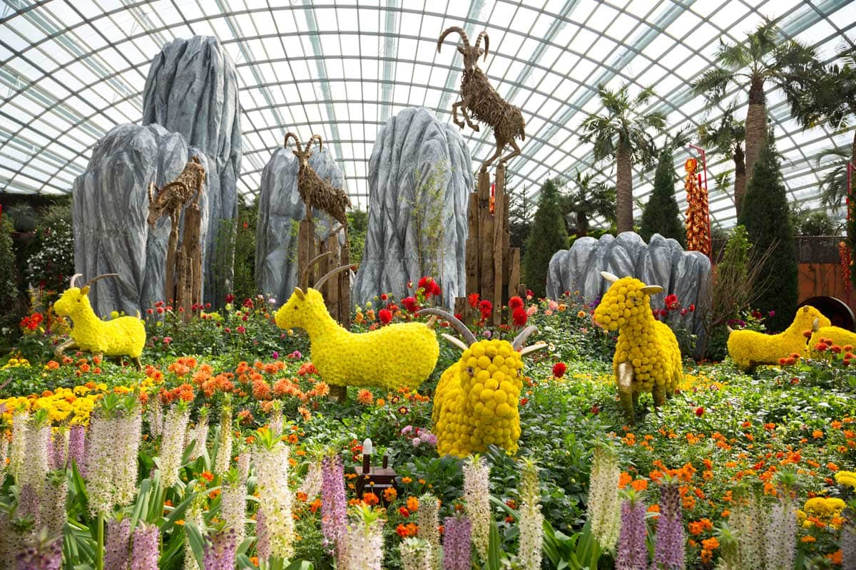 inside-flower-dome-in-singapore