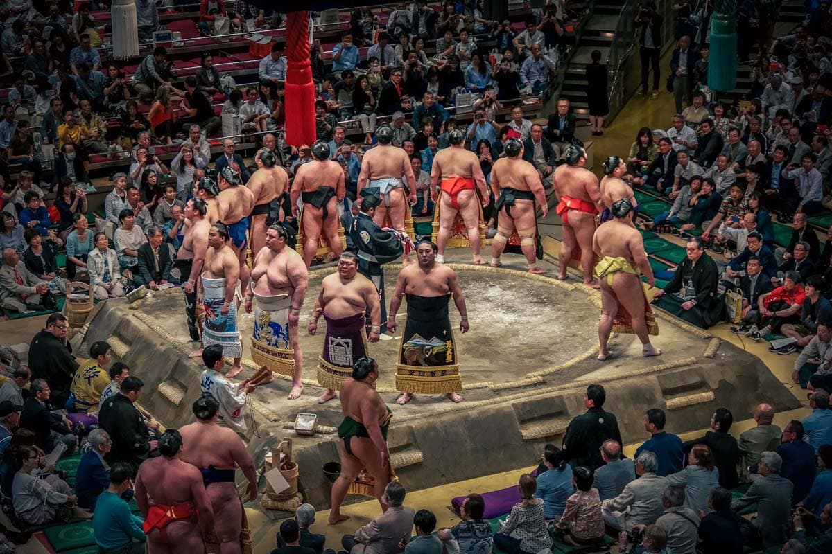 sumo-fighters-on-the-arena