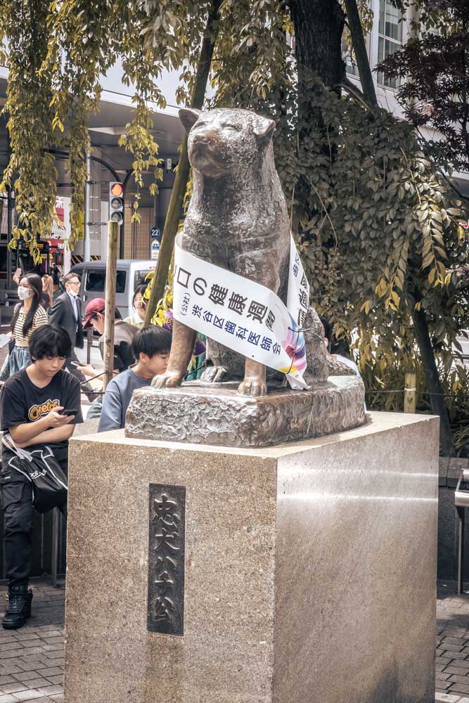 tokyo-is-known-for-hachiko-statue